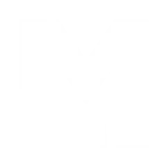 LeinesMedia Icon